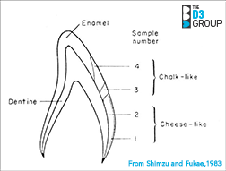 Shimizu Fig1 Image