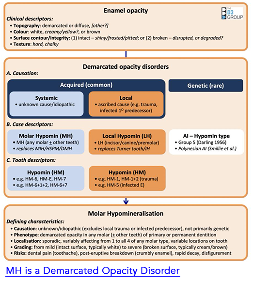 Demarcated Opacity Disorders Infographic pic